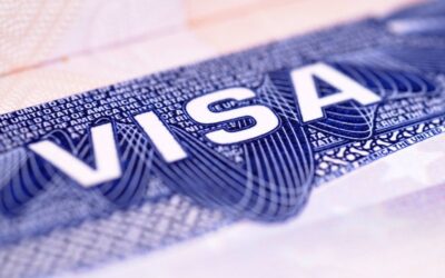 Why do you need an attorney in immigration cases?